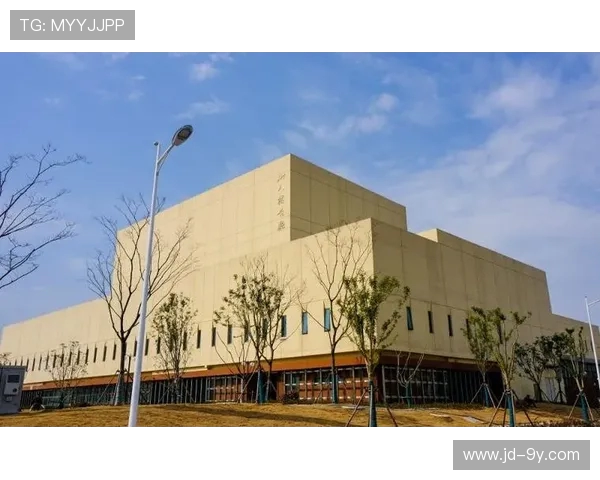 阜阳职业足球俱乐部：崛起之路与未来发展潜力分析